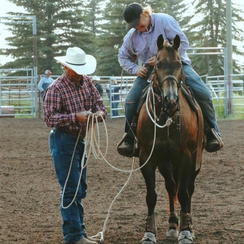 Rodeo Page 4
