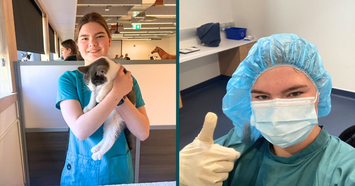 Vet Tech NEWS